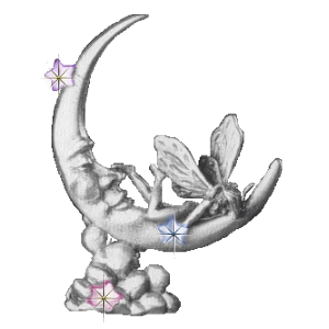 Silver moon and fairy